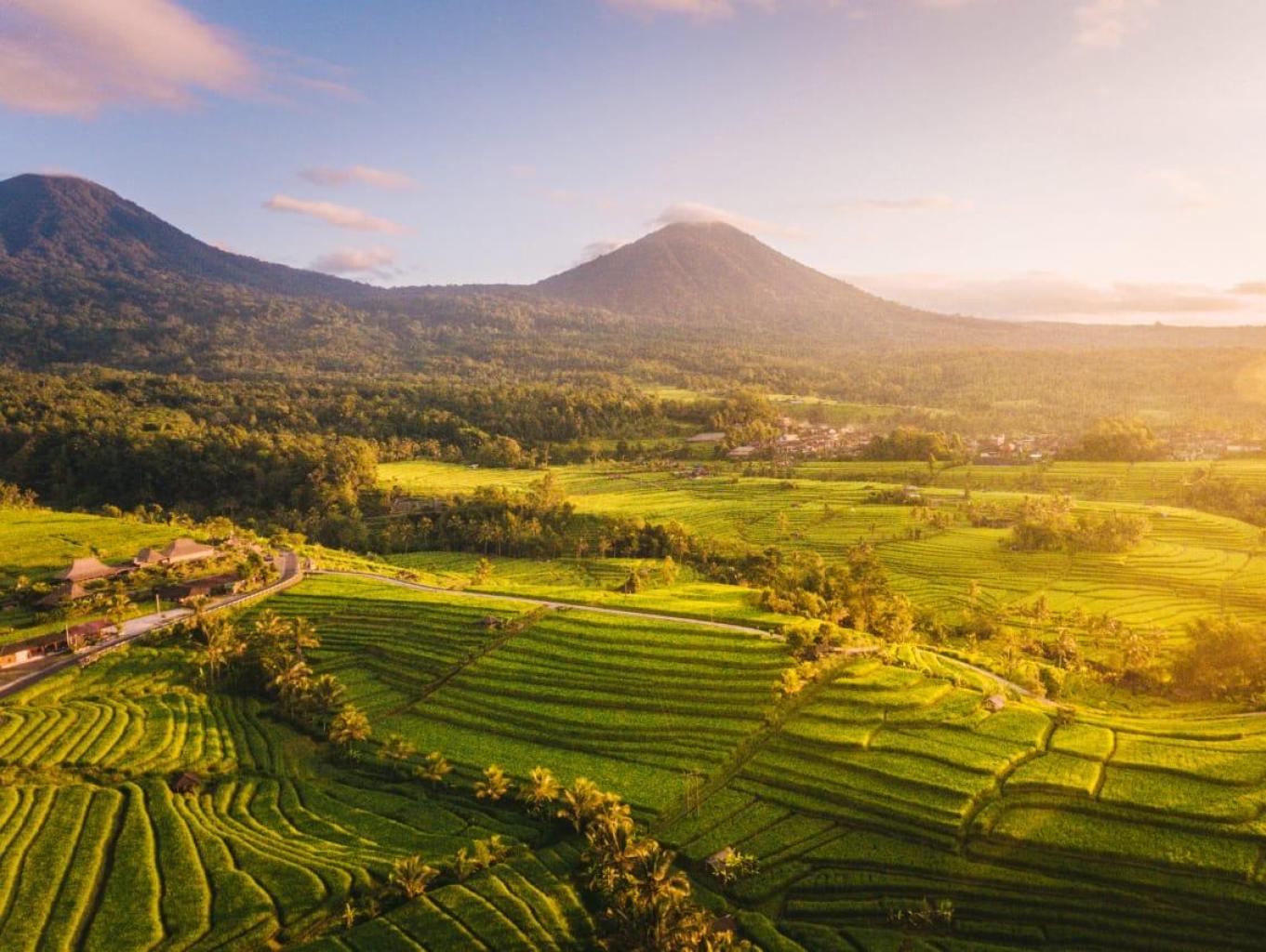 Alam Desa Gelora yang Asri