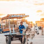Pengaruh Edukasi Pemuda terhadap Budaya Lokal di Desa Gelora